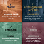 Harry Potter Collectors Box Body Wash Gift Set, 4 Body Washes with Clean Ingredients & Hogwarts Inspired Spellbinding Scents, 13.5 Oz Each