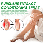Purslane Extract Conditioning Spray, Repair Earthworm Leg Relieve Leg Soreness Vein Massage Care Spray
