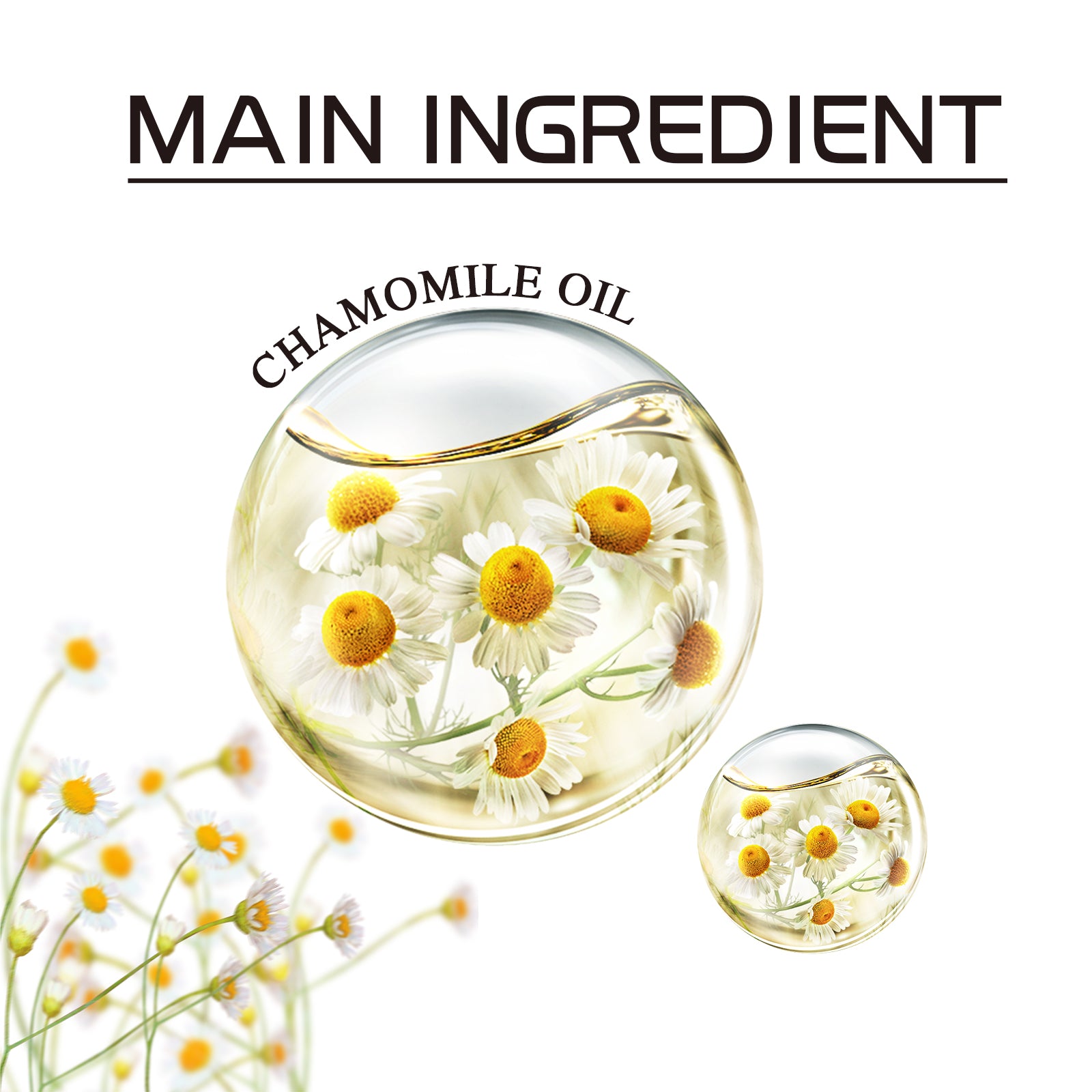 Chamomile Leg Essential Oil Protects Leg Skin And Relieves Leg Discomfort With Daily Massage Essential Oil