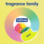 Body Citrus & Berry Splash Body Wash, All Skin Types, 20 Fl Oz Bottle