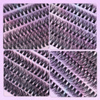 12 Rows Of 30D Plus 40D Clusters Of 240 Segmented Lashes Set