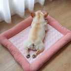 Cooling pet mats for dogs & cats (puppies/kittens): ice silk, breathable, soft summer pads in pink/blue.