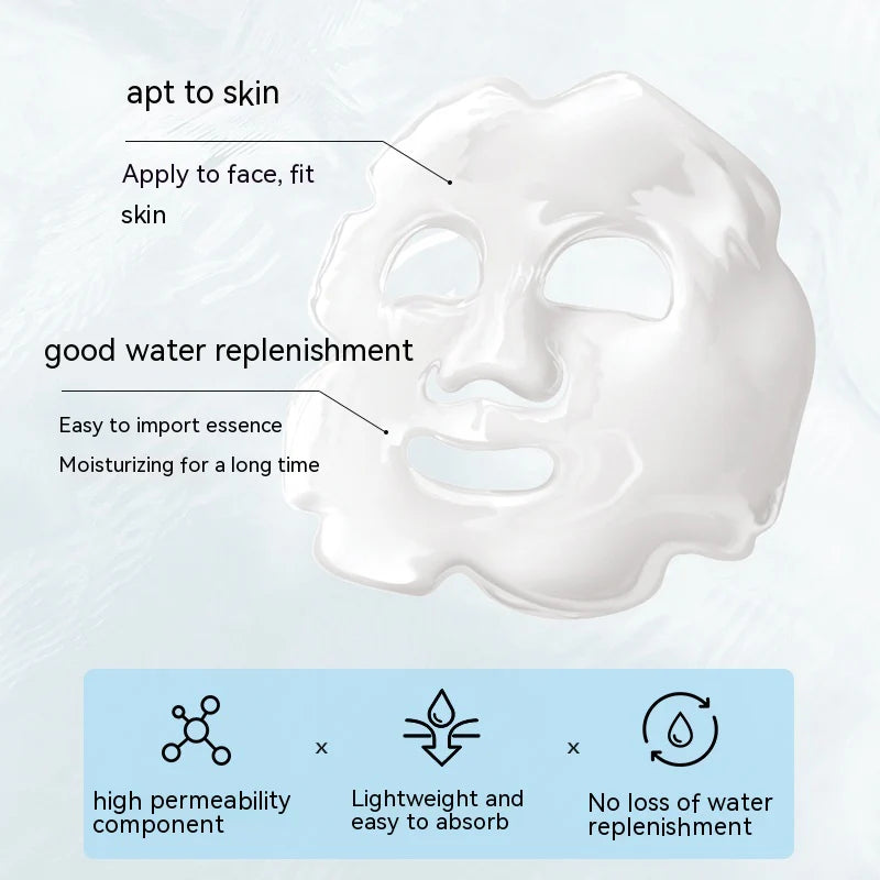 Hydrating Ferment Niacinamide Revitalizing Face Mask