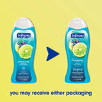 Body Citrus & Berry Splash Body Wash, All Skin Types, 20 Fl Oz Bottle