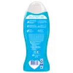 Body Citrus & Berry Splash Body Wash, All Skin Types, 20 Fl Oz Bottle