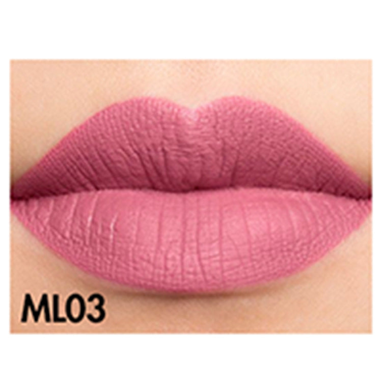 Matte Moisturizing Lip Gloss Waterproof
