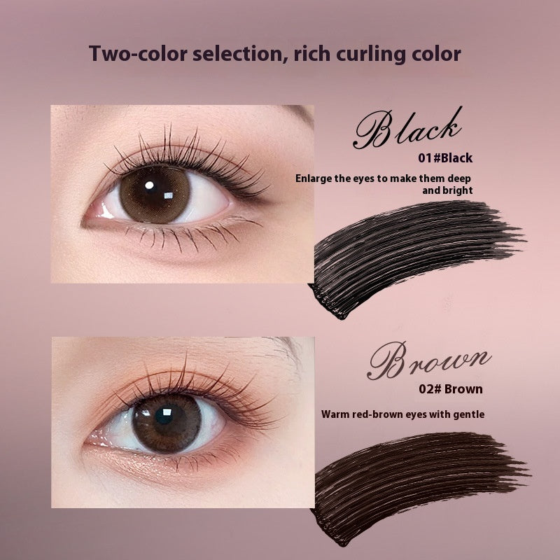 Mascara Long Curling Long-lasting Setting