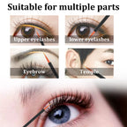 Natural And Beautiful Curly Black Eyelashe Essence