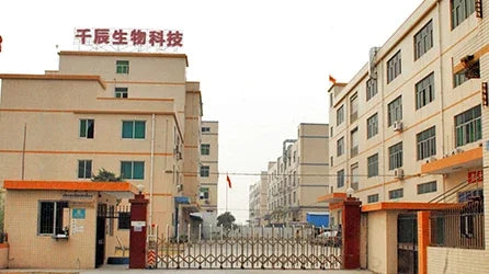 CNK Krofaue Mini USB Eyelash Fan Dryer Blower Extension Graft Eyelashes Dedicated Air Conditioning Glue Fast Dry Makeup Tools