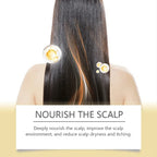 Hoegoa Hair Care Mist Nourishes Scalp Moisturizes Hair And Shines Castor Oil Repair Spray