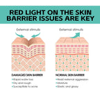 Hydrating Face Cream Firming Anti Wrinkle Brightening Dark Spots Moisturizing Anti-Aging Skin Care Whitening Tightening Cream