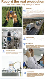 Effectively Remove Vitiligo Ointment Ringworm White Spot Removal Skin Vitiligo Eliminate Vitiligo Skin Care