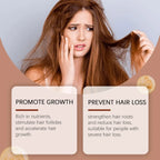 Hoegoa Hair Care Cream Gently Nourishes Hair Repair Supple Shine Hydrating Daily Massage Scalp Care Cream