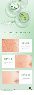 BIOAQUA Centella Asiatica Facial Cleanser Moisturizing Oil Control Face Cleansing Face Wash Foam Facial Cleanser Skin Care