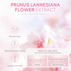 5/3pcs/Set Sakura Skin Care Sets Face Cream Serum Toner Facial Cleanser Sunscreen Eye Cream Gift Box Face Skin Care Set Product