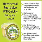 Herbal Foot Salve Tin. Skin Healing Ointment for Cracked Heels and Dry Feet- Foot Balm by