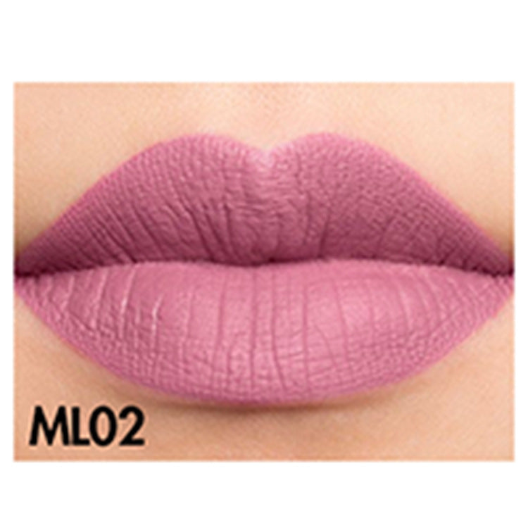 Matte Moisturizing Lip Gloss Waterproof
