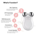 Ems Ion Facial Microcurrent Vshape Device Skin Massage