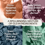 Harry Potter Collectors Box Body Wash Gift Set, 4 Body Washes with Clean Ingredients & Hogwarts Inspired Spellbinding Scents, 13.5 Oz Each